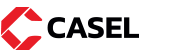 Logo de CASEL