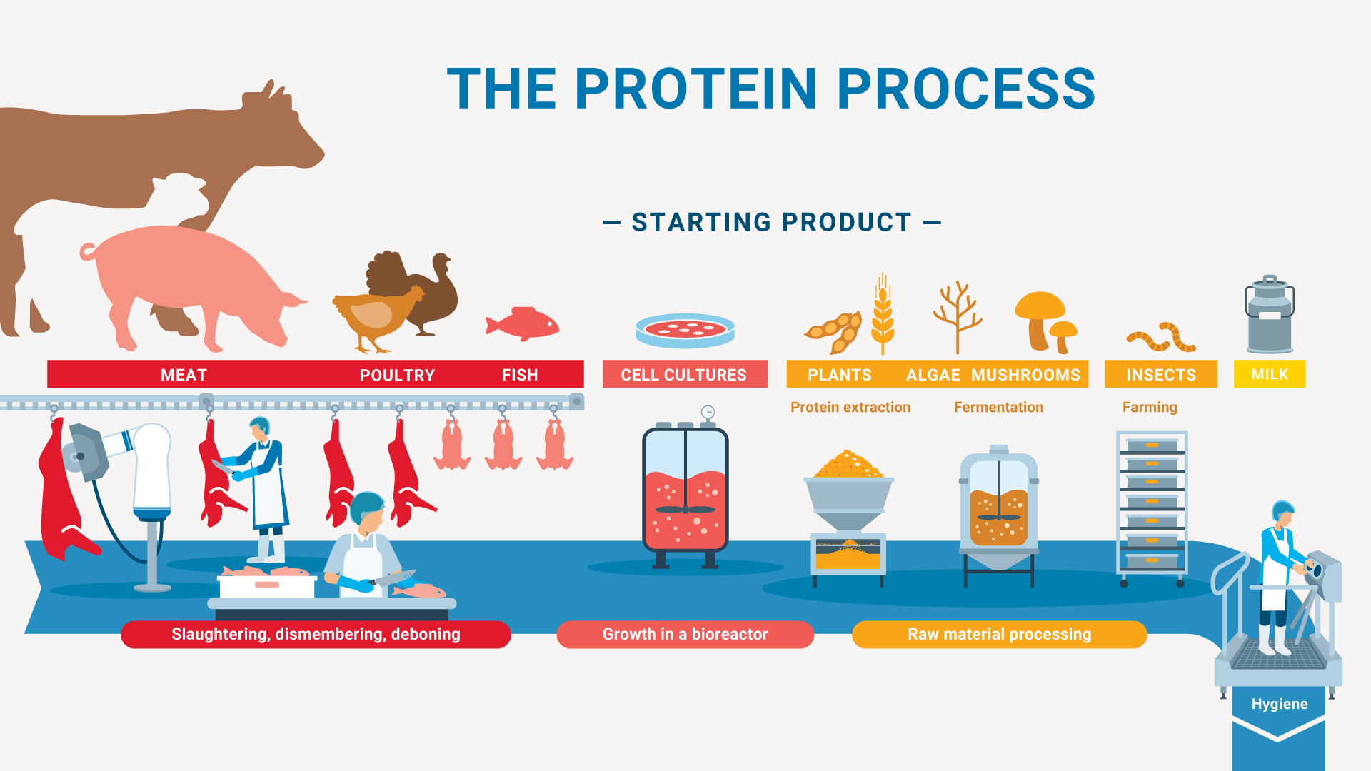 An infographic showing the protein production process from sources including meat, cellular agriculture, plants, algae, mushrooms, and insects.