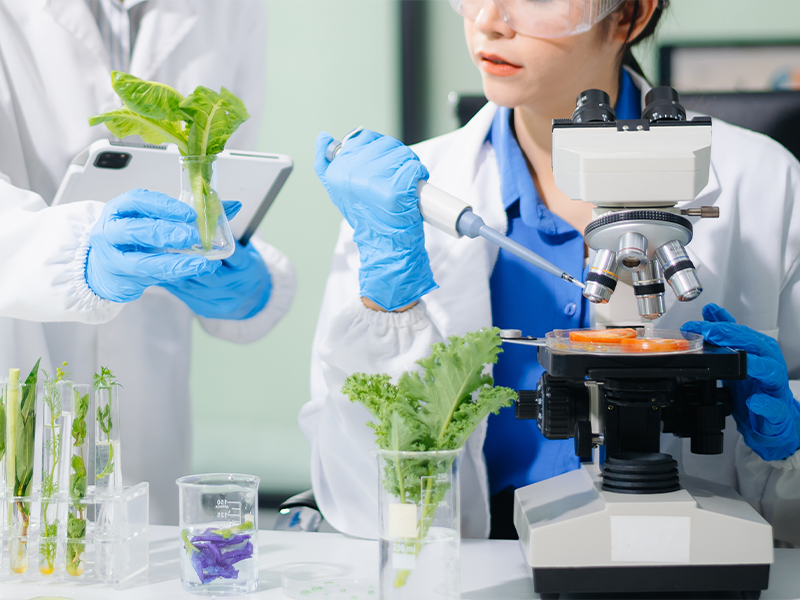 Dos científicos en un laboratorio con plantas y un microscopio